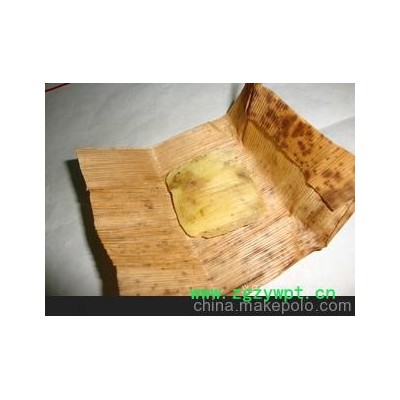 养殖场直销/獐宝獐奶提取改善儿童厌食消化不良增加免疫力