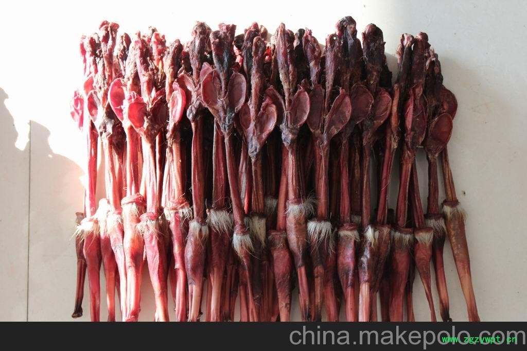 供应旗鹿鹿鞭，新西兰鹿鞭，梅花鹿鞭，马鹿鞭图2