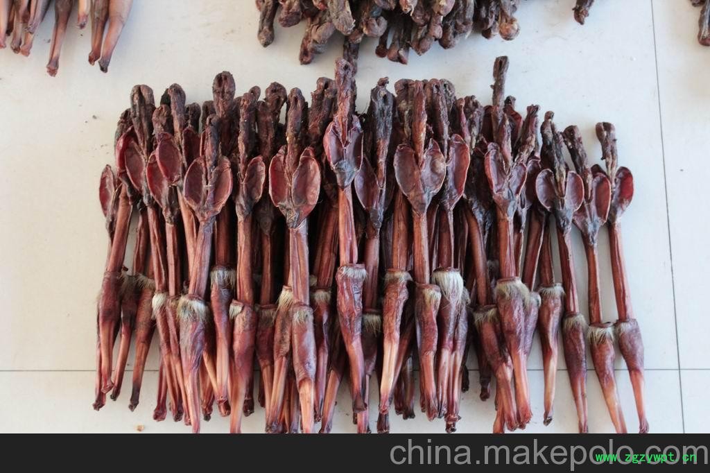 供应旗鹿鹿鞭，新西兰鹿鞭，梅花鹿鞭，马鹿鞭图3