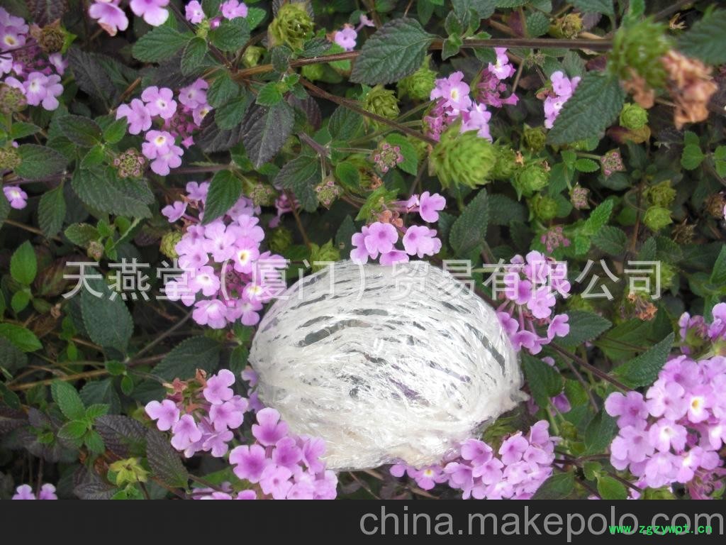 上海燕窝 批发 燕窝 正品燕窝 燕窝功效 女人燕窝图3