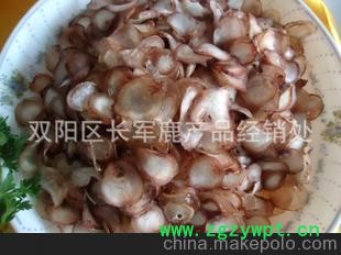 大量批发干鹿鞭片和鲜鹿鞭片