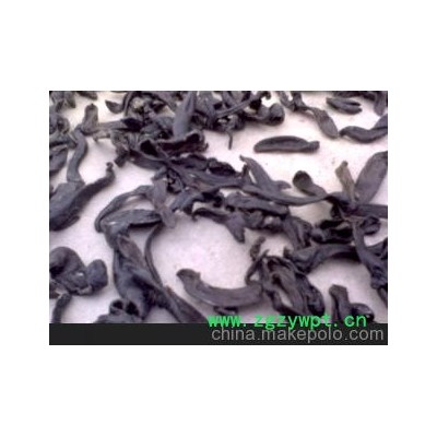 大量供优质清水吊干蚂蝗