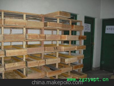 中药材批发 全蝎 蝎子图2