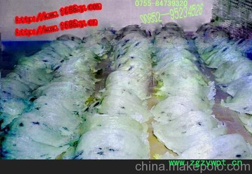 印尼进口燕窝、燕窝、无任何加工燕窝、原始燕窝图2