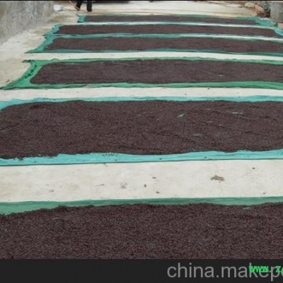 慈溪奉化宁海象山温州瑞安乐清土元养殖