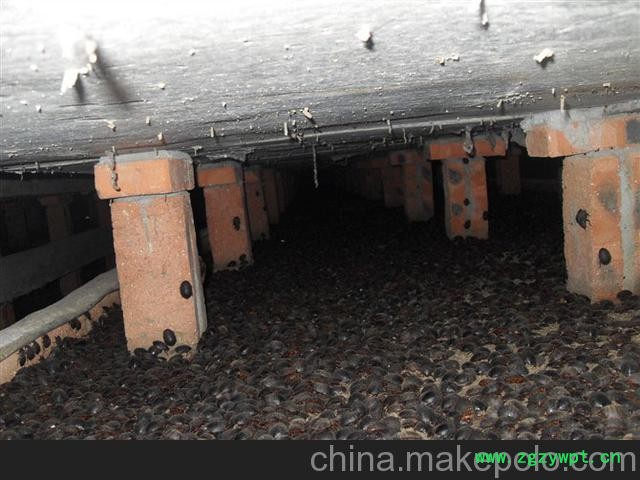 洞头平阳苍南文成泰顺嘉兴海宁土元养殖图4