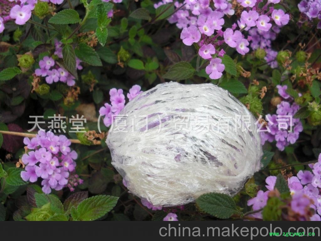 燕窝炖煮 燕窝美食图3