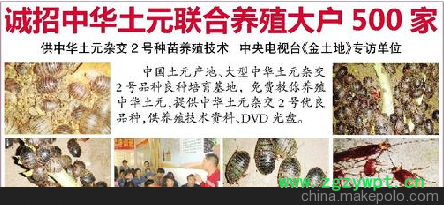 安徽土元收购图3