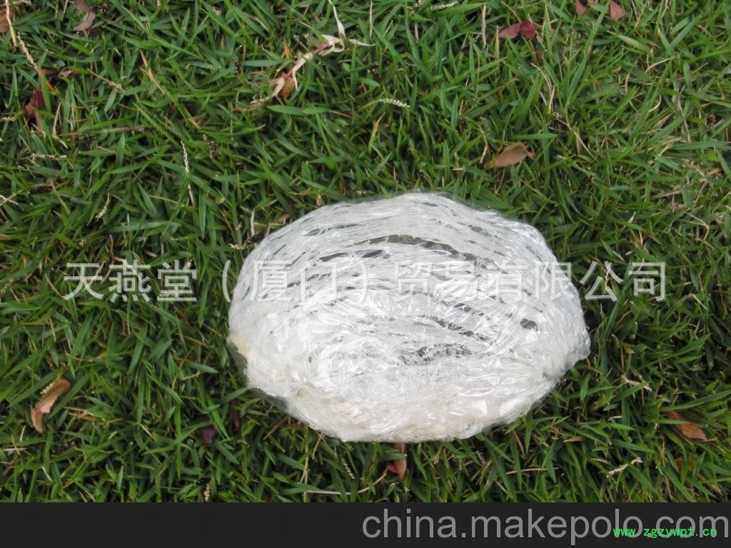 燕窝批发 燕窝 燕窝 马来西亚燕窝图4