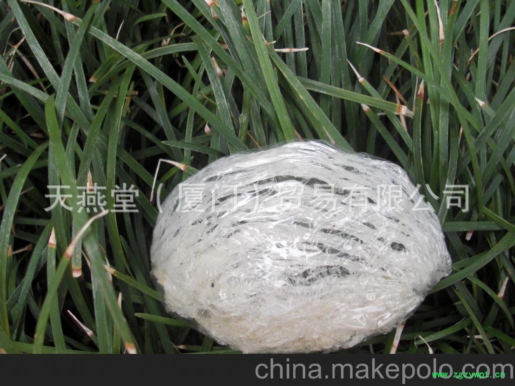 燕窝批发 燕窝 燕窝 马来西亚燕窝图2
