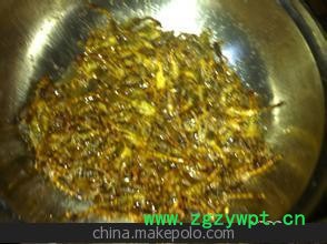 低价销售蝎子 活蝎子 欢迎来电图3