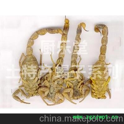 批发干蝎子/供应酒店蝎子/干蝎子/特价干蝎/药用干蝎子图2