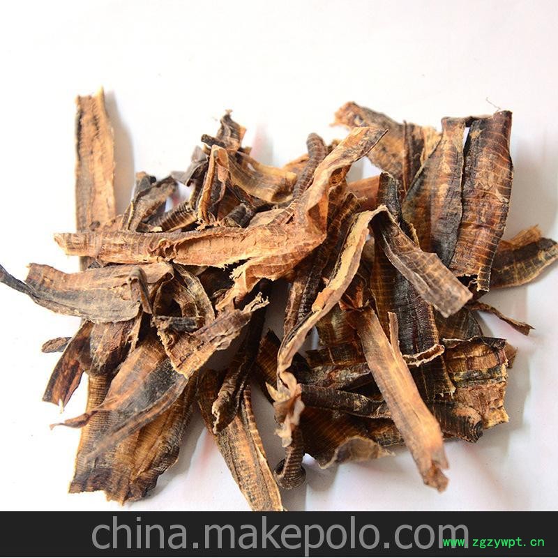 广地龙 （大开） 切段 精选 优质 大货供应 上广地龙行图3