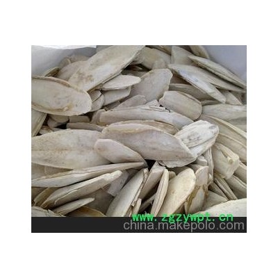 优质打磨墨鱼骨海螵蛸