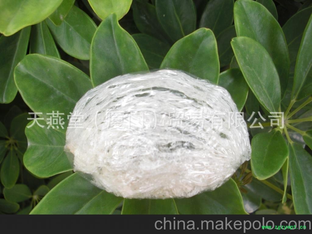 正宗马来西亚 燕窝批发图3