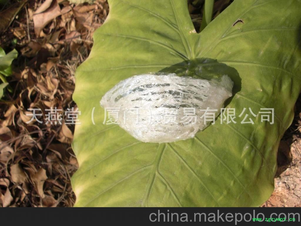 青海燕窝批发 纯燕窝批发图6