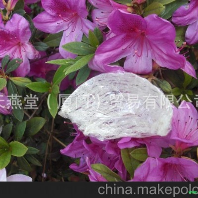 青海燕窝批发 纯燕窝批发