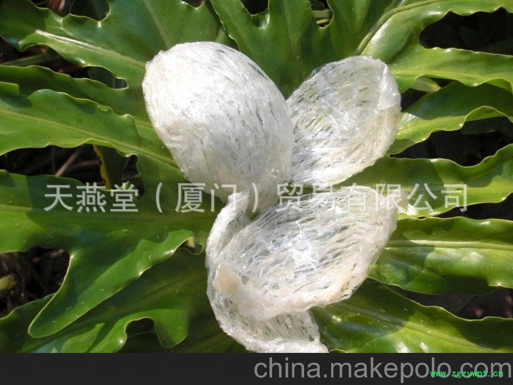 宁德燕窝批发 燕窝批发 燕窝代工 天然燕窝批发图2