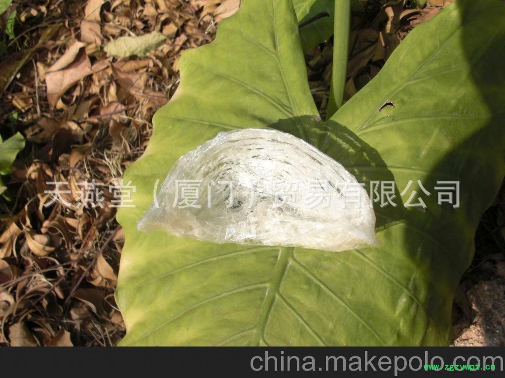 香港燕窝批发 纯手工挑毛燕窝批发 纯燕窝批发图5