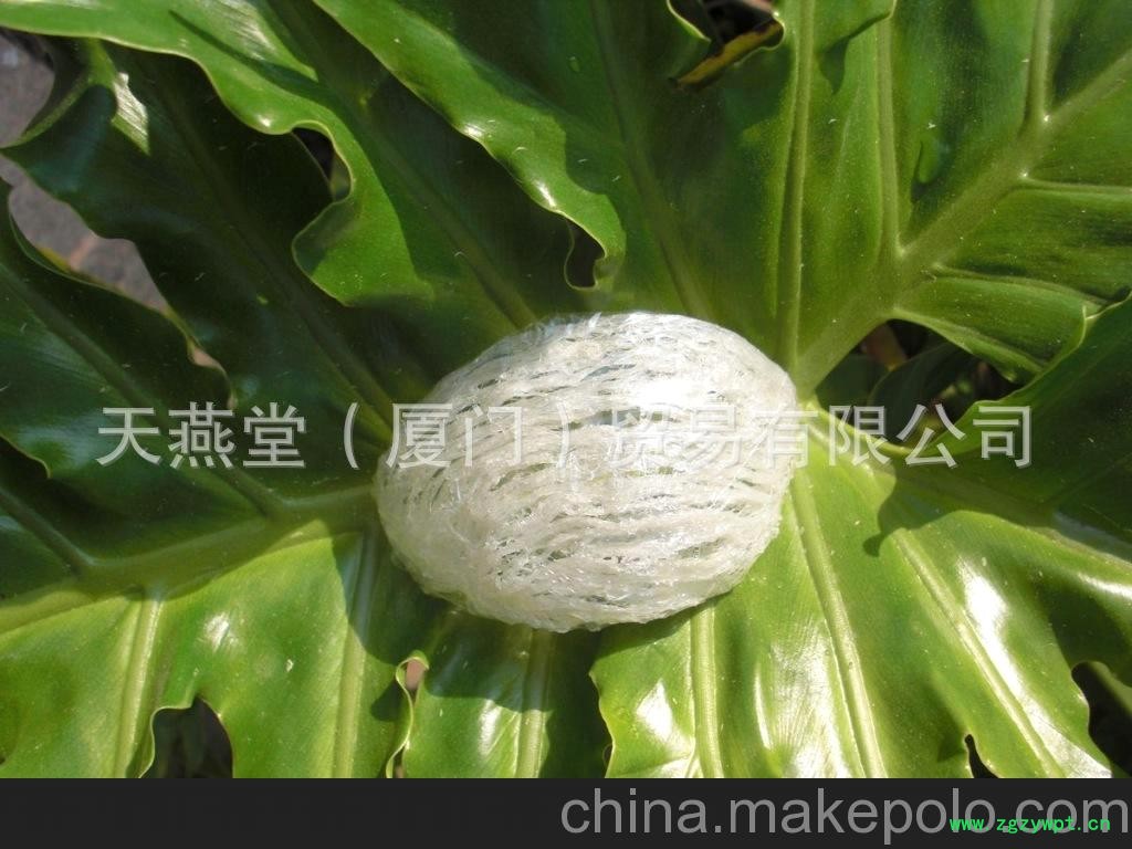 香港燕窝批发 纯手工挑毛燕窝批发 纯燕窝批发图6