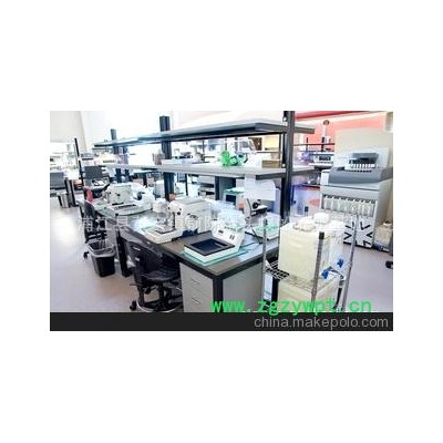 最新供应 厂家供应最新研发的蜈蚣毒素