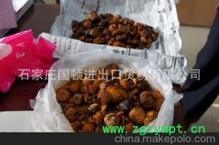 新西兰进口牛黄