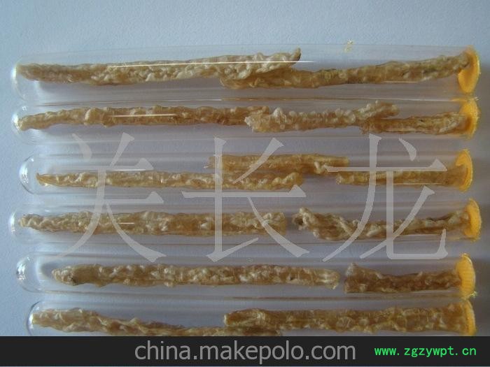 多条林蛙线油 多条雪蛤图2