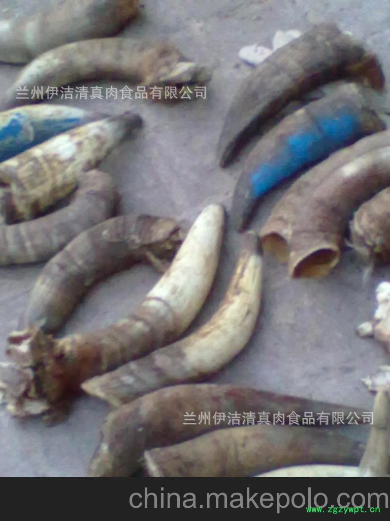 厂家大量批发长期供应黄牛角原料图2