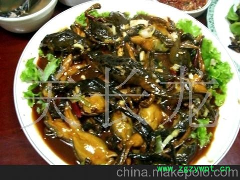 鲜活雪蛤 鲜活东北林蛙图3