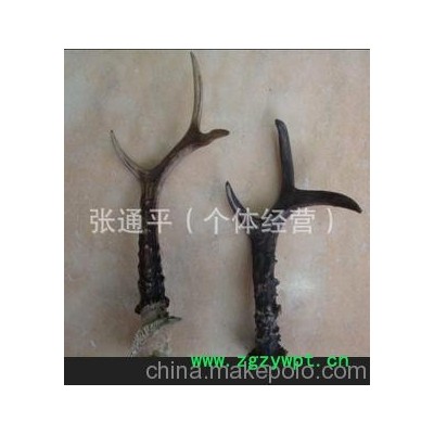 狍子角 马鹿角工艺品原材料