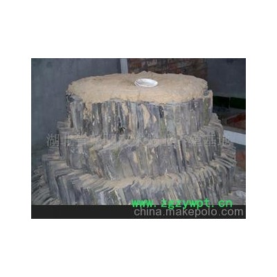 供销人工养殖的蝎子种 蝎子苗、商品蝎