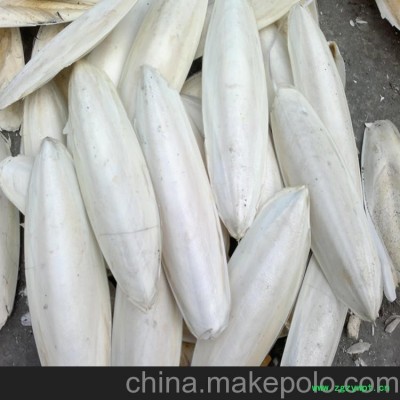 供应印尼恒泰瑞海螵蛸，墨鱼骨 墨鱼骨价格