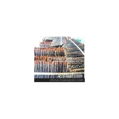 批发供应红头蜈蚣 中药材