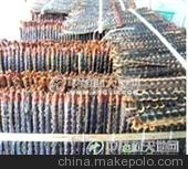 批发供应红头蜈蚣 中药材图4