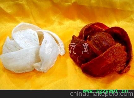 批发供应血燕，特价优惠，品质保证