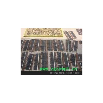 养殖蜈蚣基地、免费养殖蜈蚣培训、母钟蜈蚣、干制蜈蚣、药用