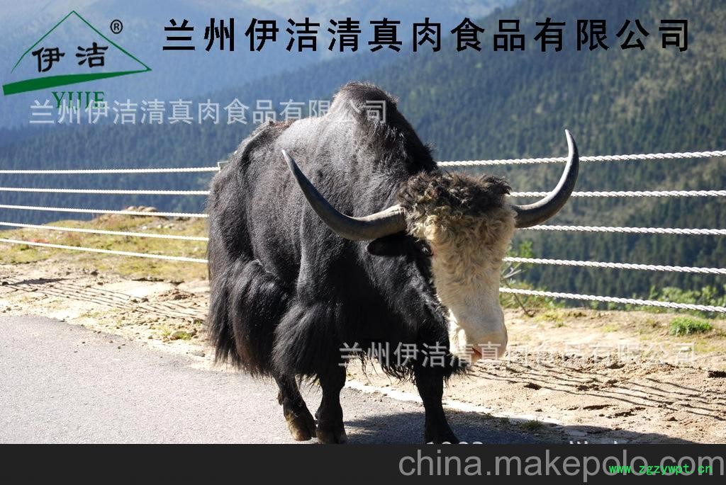 厂家大量供应新鲜优质天然牦牛角