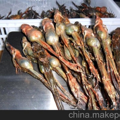 林蛙油 林蛙线油 线雪蛤 生扒油 条油