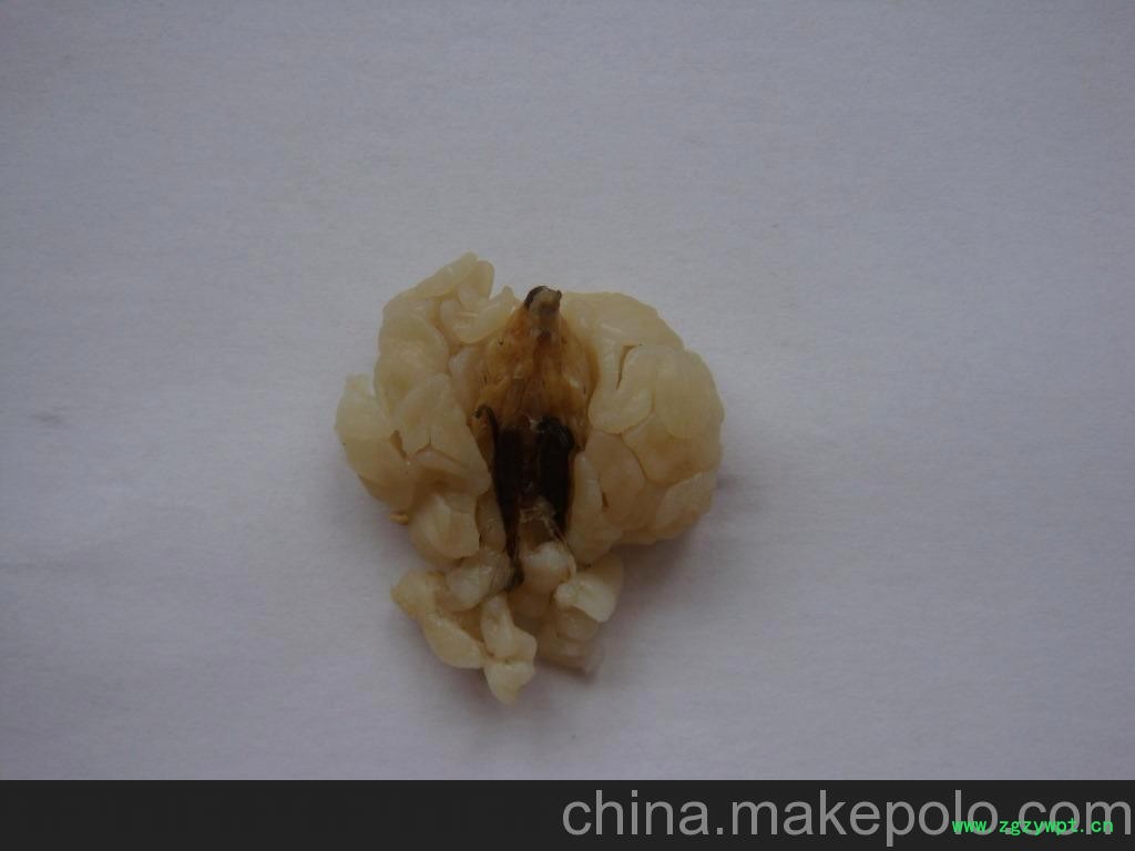 正品雪蛤批发东北雪蛤油新鲜雪蛤膏