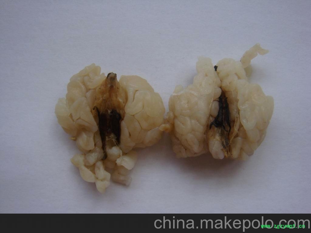 正品雪蛤批发东北雪蛤油新鲜雪蛤膏图2