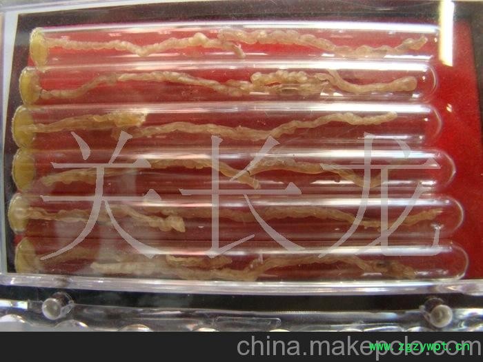 单条林蛙线油 单条雪蛤图3