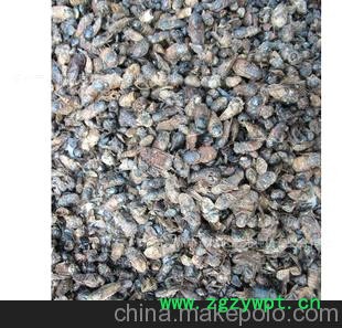 中药材 优质 虻虫/牛虻/牛蜢/支持验货 批发价格