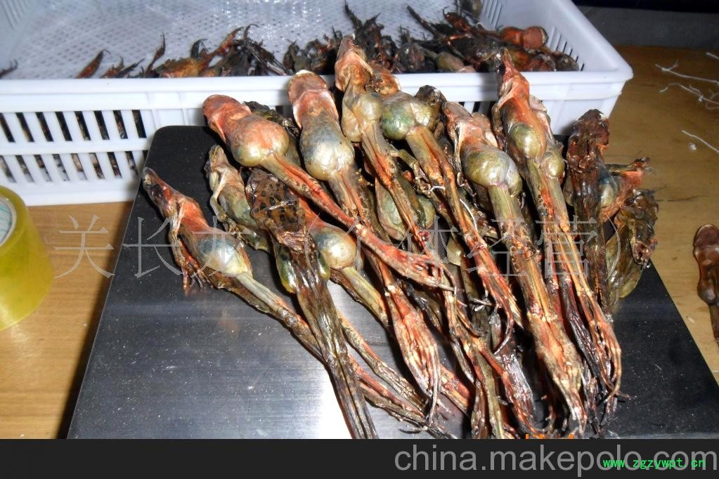 全只中国林蛙干图2