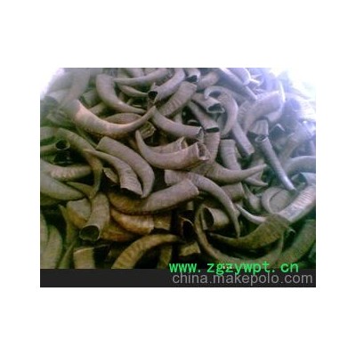 大个壁厚水牛角