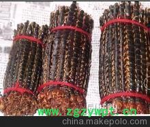 供应中药材 蜈蚣图6