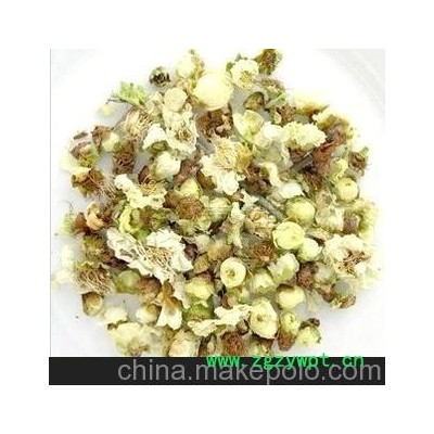 批发供应中药材 花茶 白梅花对症肝胃气痛，食欲不振，头晕。