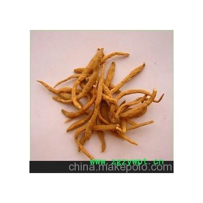 批发供应中药材 太子参 童参、四叶参、四叶菜、米参。