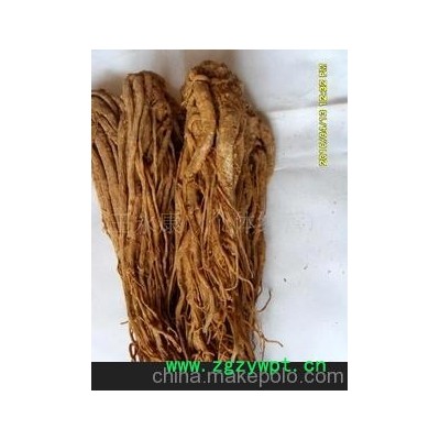 现货，零风险，甘肃优质中药材当归，全毛归