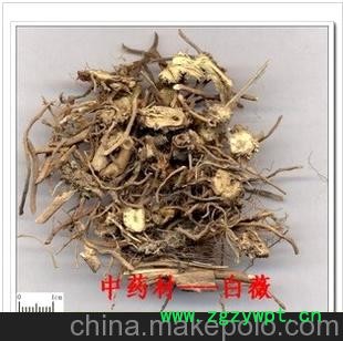 批发供应中药材 白薇具有清热凉血、利尿通淋、解毒疗疮。