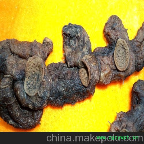 九华山特色佛教养生-传统九蒸九晒九制地藏黄精图3